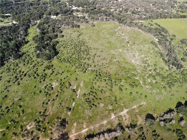 23.2218ACRES Fm 908, Caldwell, TX 77836 - photo 12