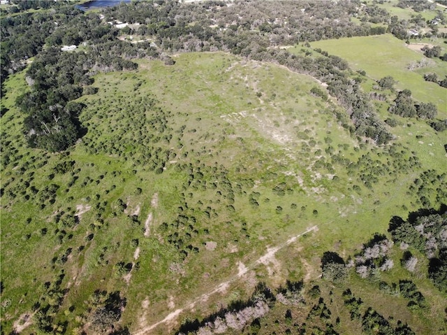 23.2218ACRES Fm 908, Caldwell, TX 77836 - photo 9