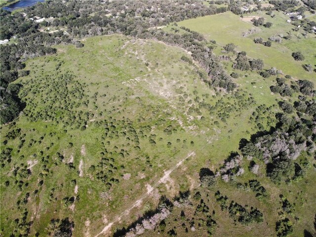 23.2218ACRES Fm 908, Caldwell, TX 77836 - photo 11