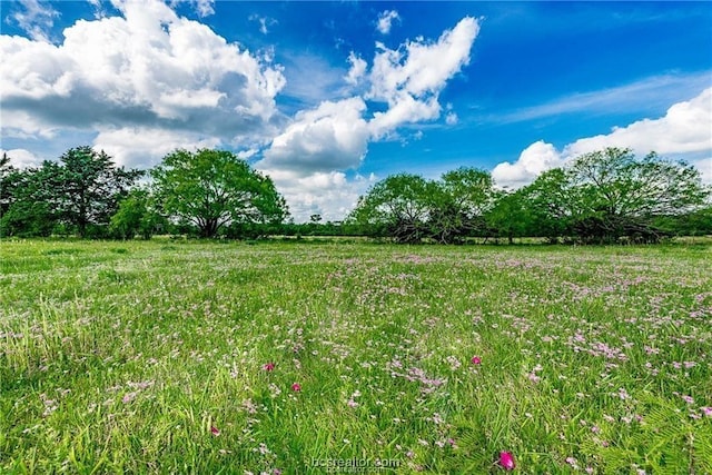 15.2ACRES N Old Springfield, North Zulch TX, 77872 land for sale