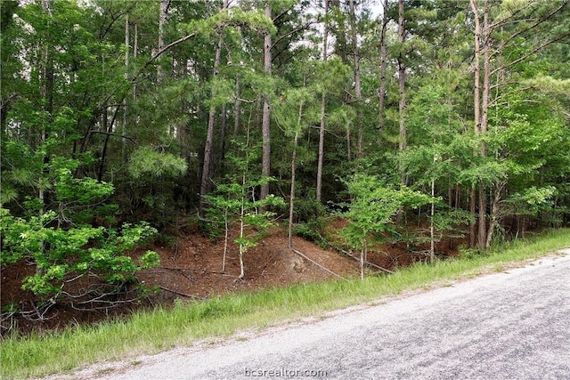 Listing photo 3 for Lot6 Willow Creek, Huntsville TX 77340