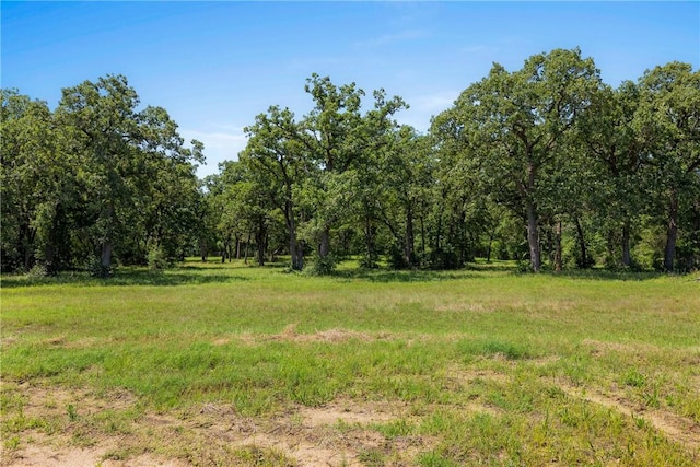 9560 County Road 121, Iola, TX 77861 - view of wooded area
