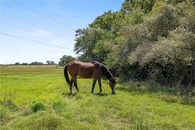 9560 County Road 121, Iola, TX 77861 - stable with a rural view