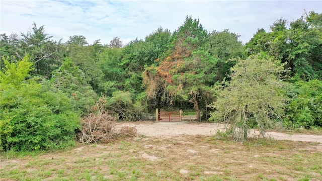 3984 County Road 324, Caldwell, TX 77836 - photo 2