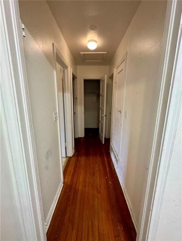 hall with dark hardwood / wood-style floors