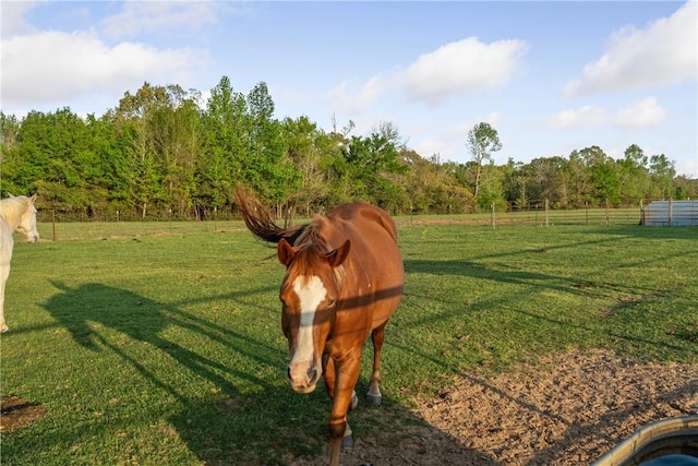 3200 State Highway 75 N, Centerville, TX 75833 - photo 41