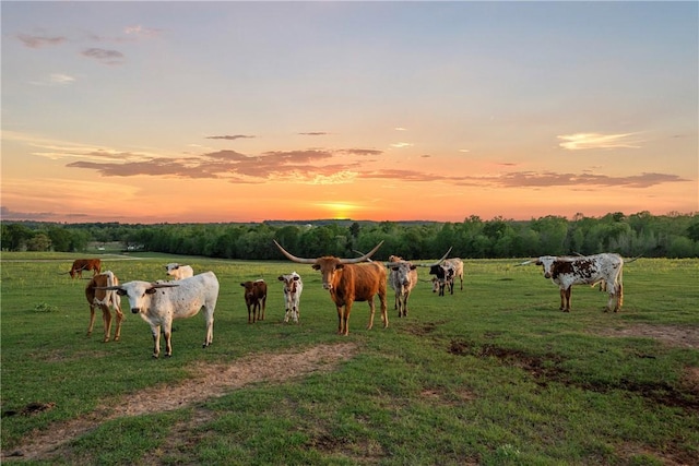 3200 State Highway 75 N, Centerville, TX 75833 - photo 4