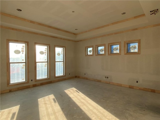 spare room with a raised ceiling