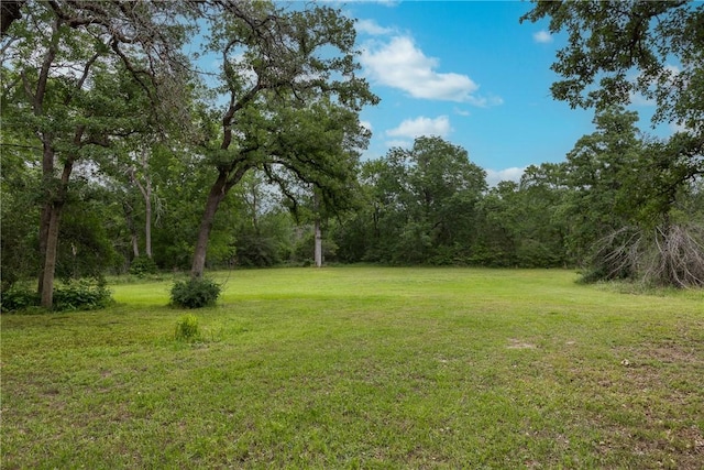 view of yard with a view of trees