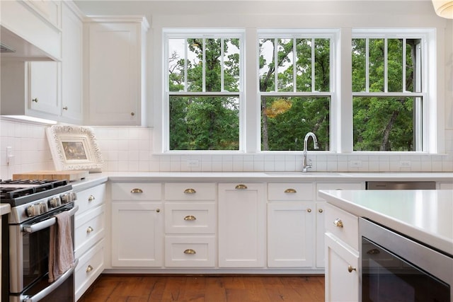 kitchen with plenty of natural light, light countertops, a sink, and stainless steel appliances