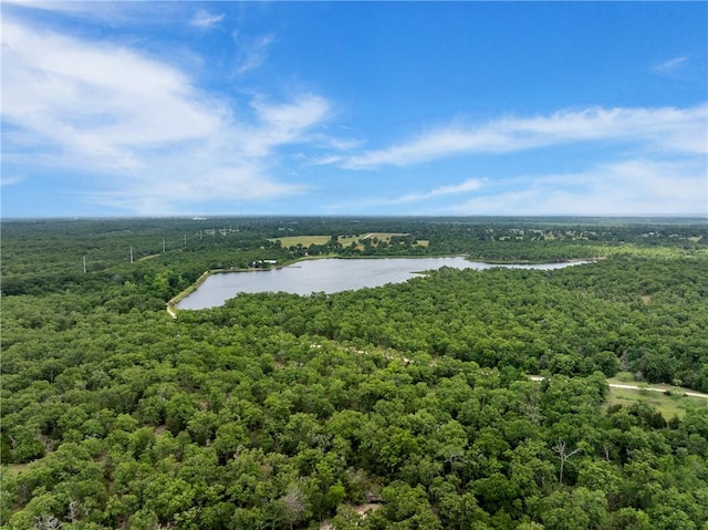 bird's eye view with a view of trees and a water view