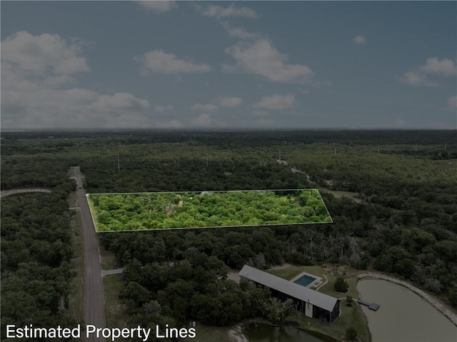 bird's eye view with a forest view
