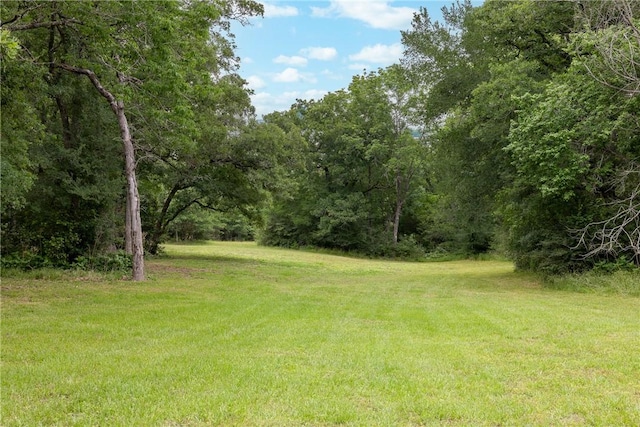 view of yard with a wooded view