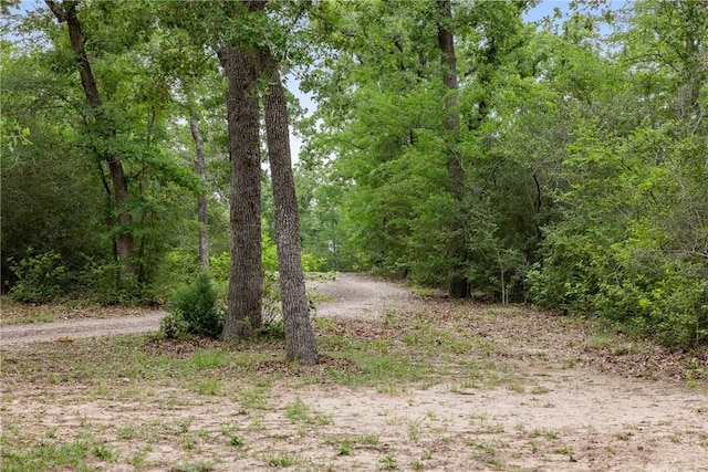 view of nature featuring a view of trees