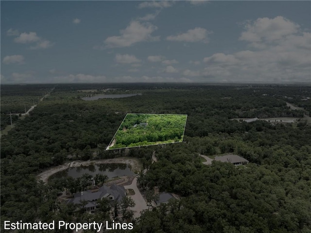 drone / aerial view with a forest view