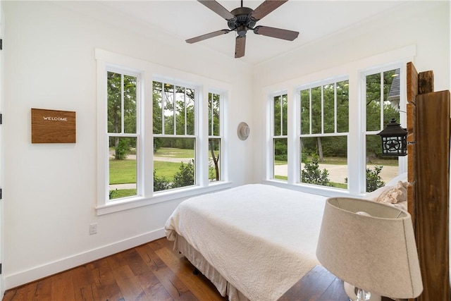 bedroom featuring baseboards, dark wood finished floors, multiple windows, and ceiling fan