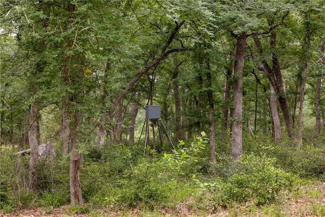 exterior space with a view of trees