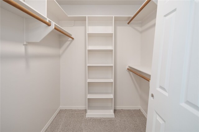 walk in closet featuring light carpet