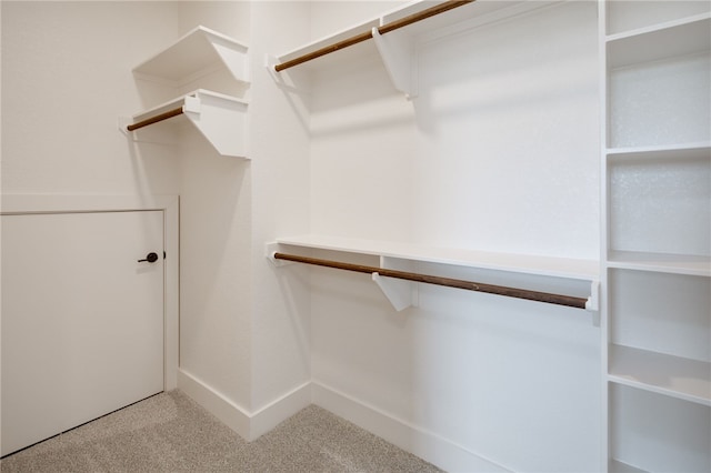 spacious closet with carpet flooring