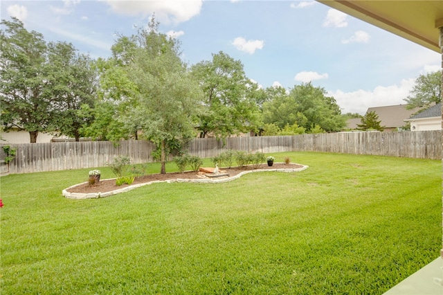 4309 Berwick Pl, College Station, TX 77845 - view of yard