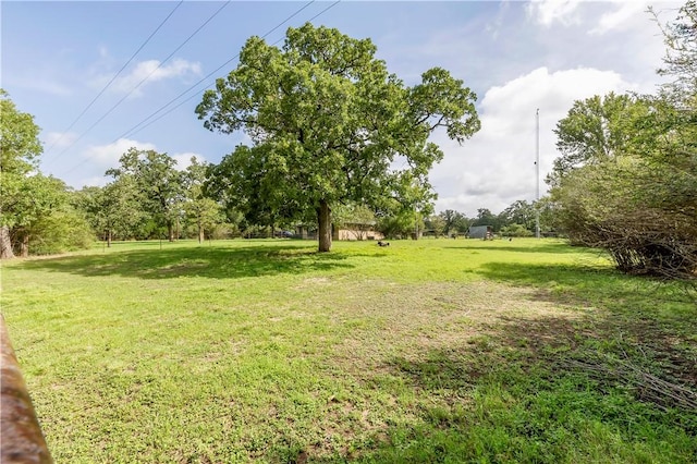 9121 Lightsey Ln, College Station, TX 77845 - photo 13
