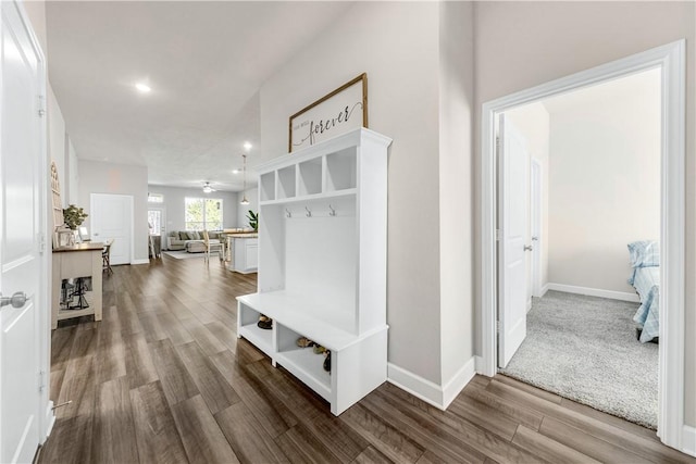 mudroom with wood-type flooring