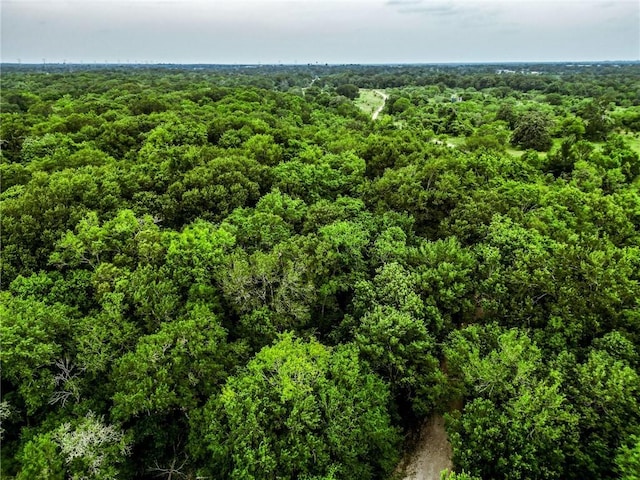 6572 Bethel Cemetery Rd, North Zulch, TX 77872 - photo 14