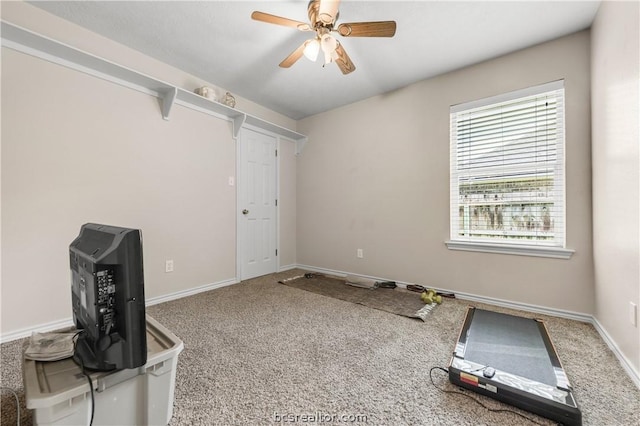 workout area with carpet flooring and ceiling fan