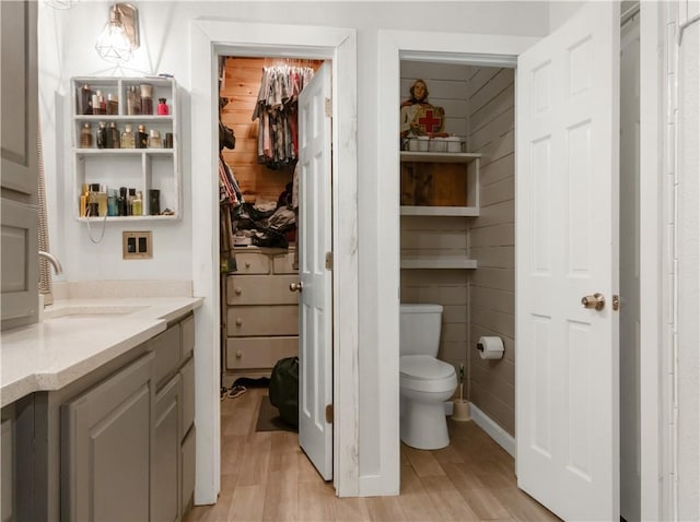 bathroom featuring wood-type flooring, vanity, and toilet