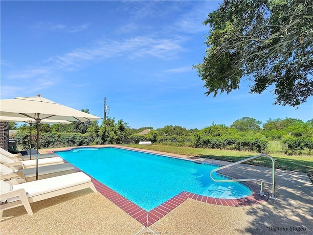 view of swimming pool