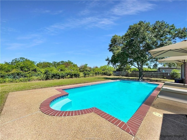 view of pool featuring a patio area