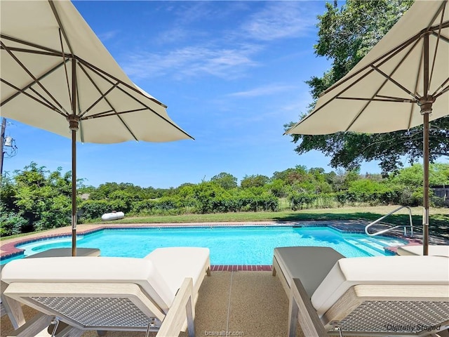 view of pool with a patio