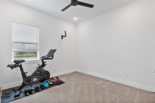 exercise area with ceiling fan and carpet floors