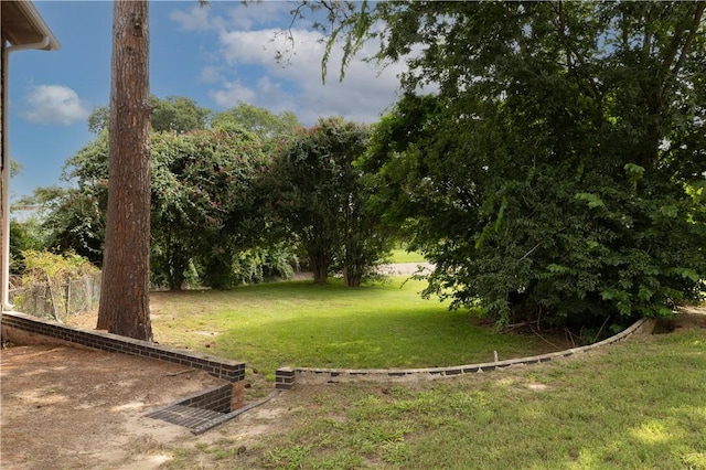 910 Briar Cliff Dr, Bryan, TX 77802 - view of green lawn