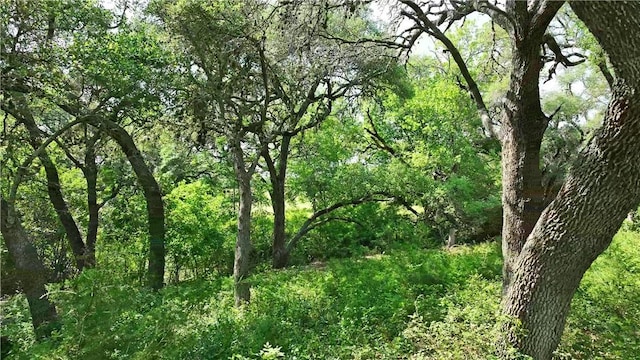 2120 Hohenwalde School Rd, Brenham, TX 77833 - photo 19