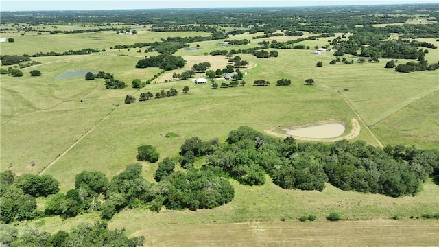 2120 Hohenwalde School Rd, Brenham, TX 77833 - photo 17