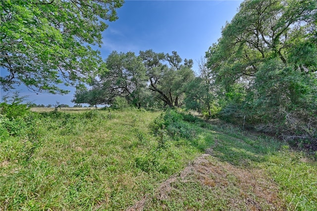 2120 Hohenwalde School Rd, Brenham, TX 77833 - photo 22