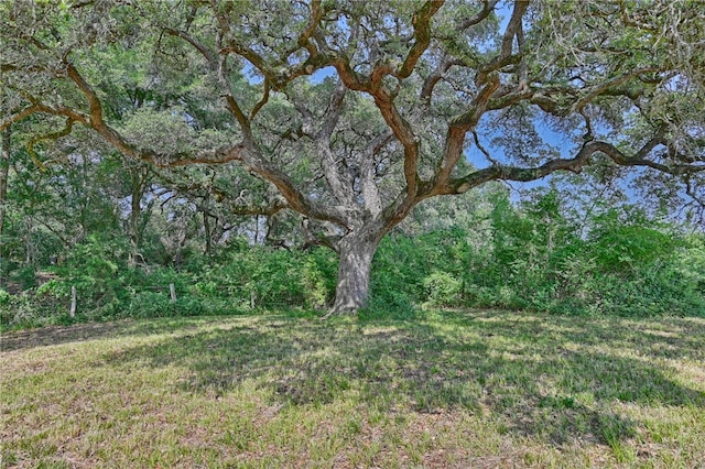 2120 Hohenwalde School Rd, Brenham, TX 77833 - photo 4