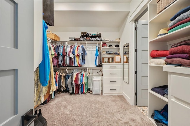 walk in closet with light carpet