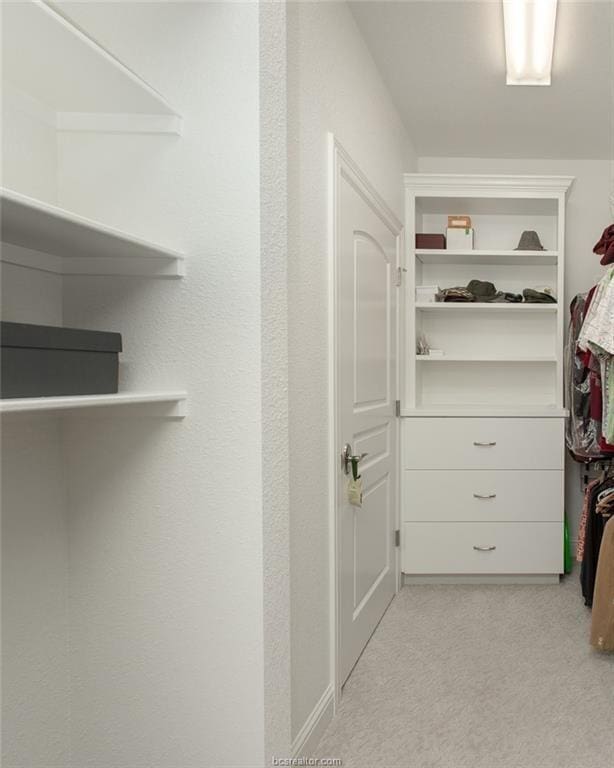 spacious closet featuring light colored carpet