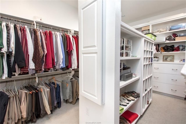 spacious closet with light carpet