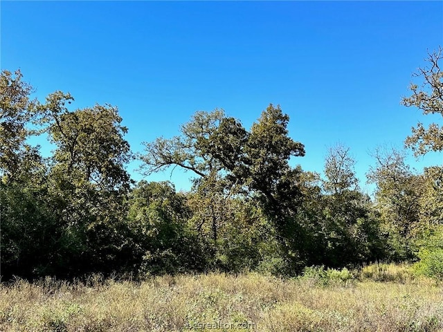 Listing photo 3 for 9767 Lancaster Dr, Iola TX 77861