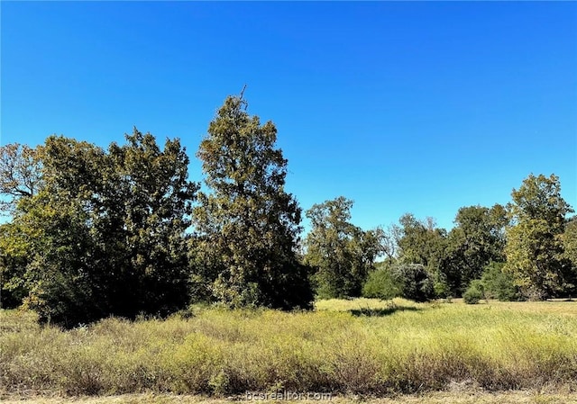 9767 Lancaster Dr, Iola TX, 77861 land for sale