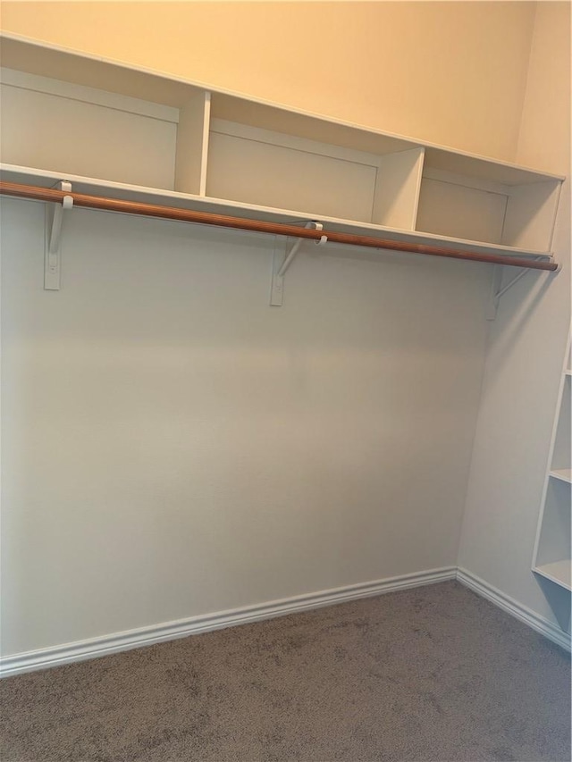 spacious closet featuring carpet floors