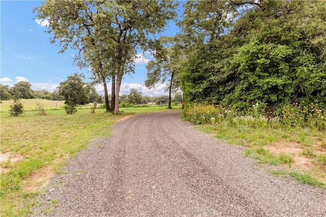 206 22 Hills Rd, Gause, TX 77857 - view of dirt / gravel road