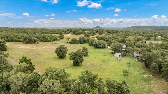 206 22 Hills Rd, Gause, TX 77857 - view of rural area featuring a forest