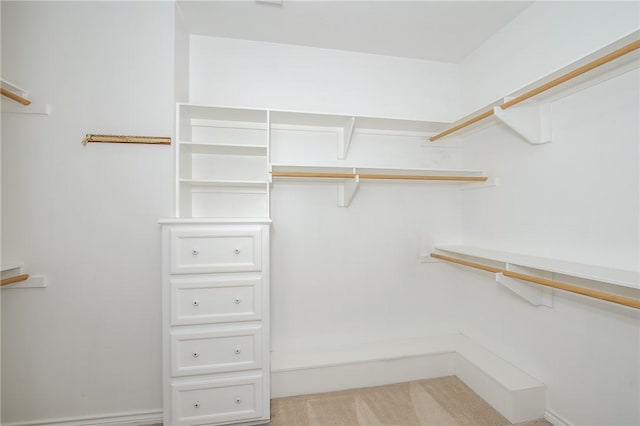 spacious closet featuring light colored carpet