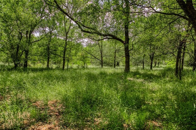 10314 County Road 276, Somerville, TX 77878 - photo 7