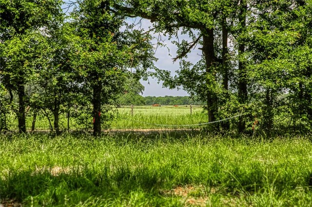 10314 County Road 276, Somerville, TX 77878 - photo 1
