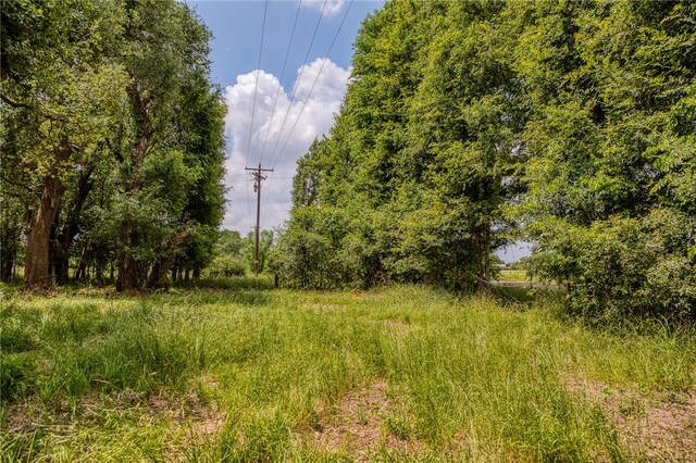 10314 County Road 276, Somerville, TX 77878 - photo 3
